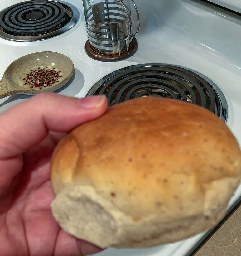 white hamburger bun vegan_edited