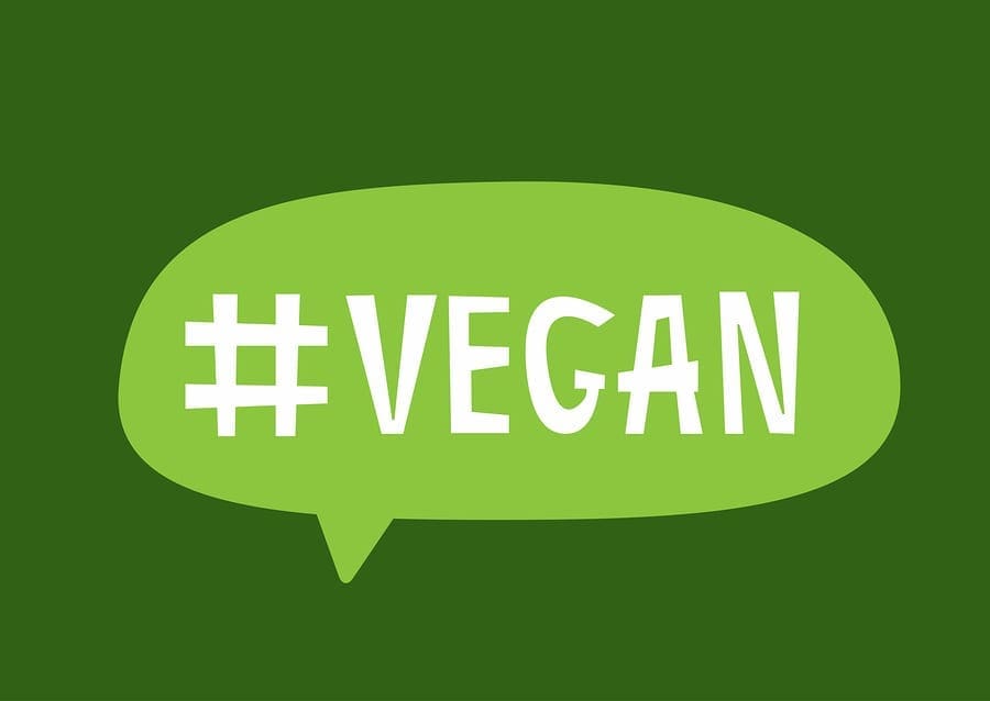 5 Vegan Related Tweets I Totally Agree With
