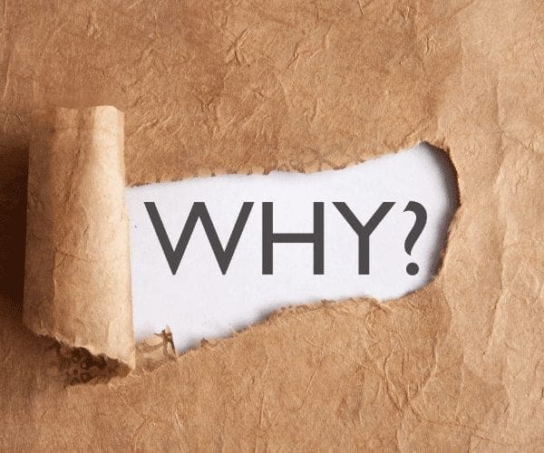 The 3 Reasons I Started Eat Learn Write The 3 Reasons I Started Eat Learn Write