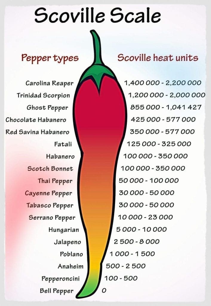 hot pepper scale