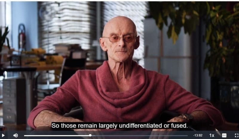 My Review Of Integral Life By Ken Wilber On Mindvalley