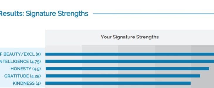 My Top 5 Character Strengths According To The VIA Institute My Top 5 Character Strengths According To The VIA Institute