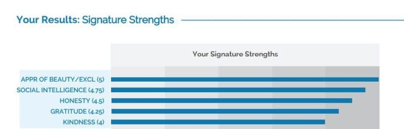 My Top 5 Character Strengths According To The VIA Institute My Top 5 Character Strengths According To The VIA Institute