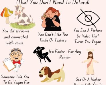 7 Valid Reasons For Going Vegan That You Don’t Need To Defend