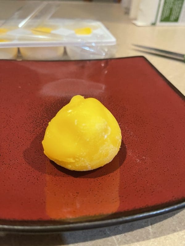 Misshaped PC Plant Based Mango Mochi