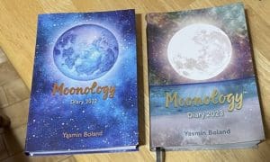 Moonology Diary 2023 Review: 7 Things I Like About It