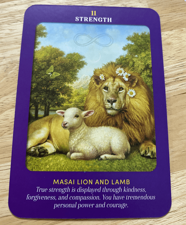 Card From Animal guide Deck